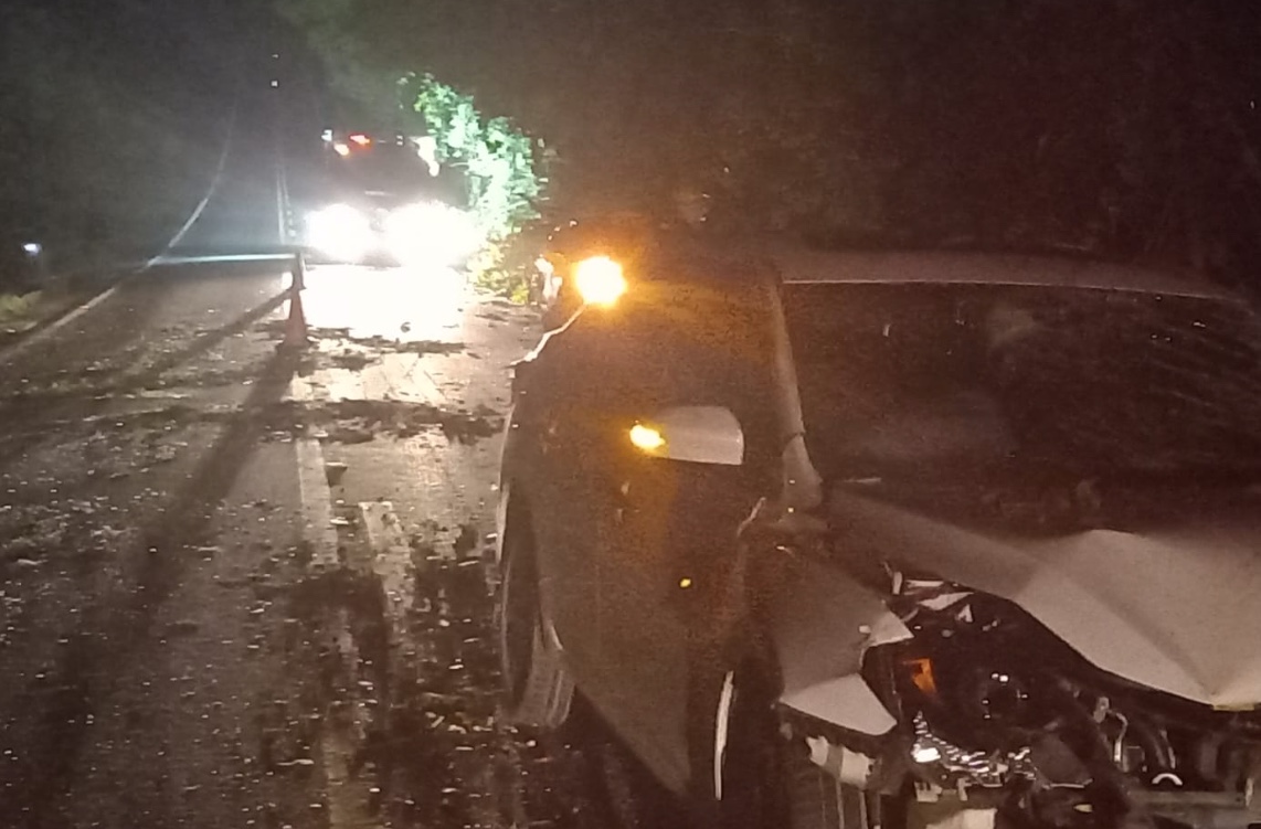 Carreta arrasta carros e deixa feridos após desviar de árvore na BR-174