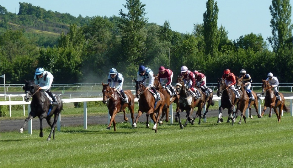 Governo permite apostas em animais, incluindo vaquejada e corrida de cavalo