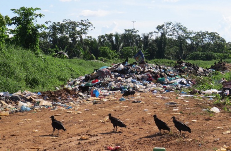 MPAM cobra aterro sanitário em Coari por danos ambientais e à saúde