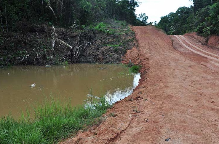 MPF abre inquérito para investigar abertura ilegal de ramais na BR-319