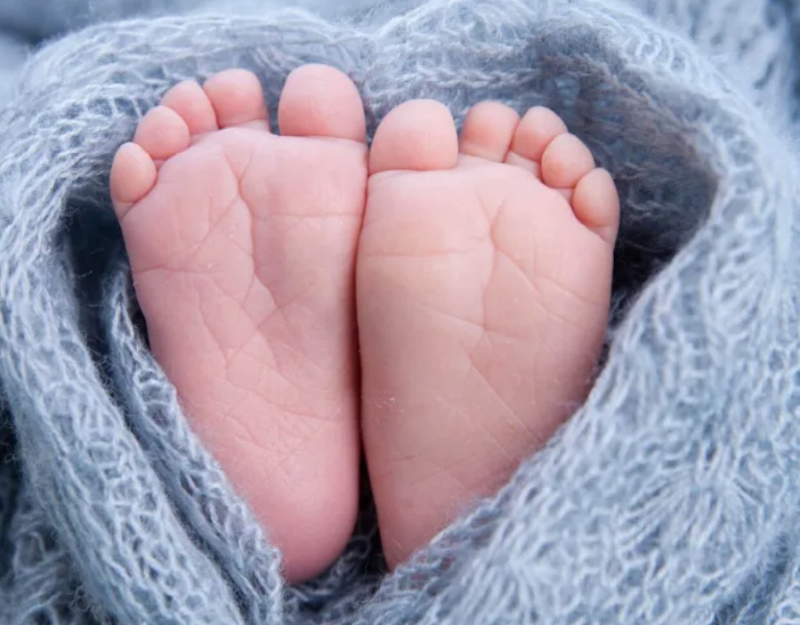 PGJ monitora funcionamento de Comitês de prevenção ao óbito infantil no Amazonas