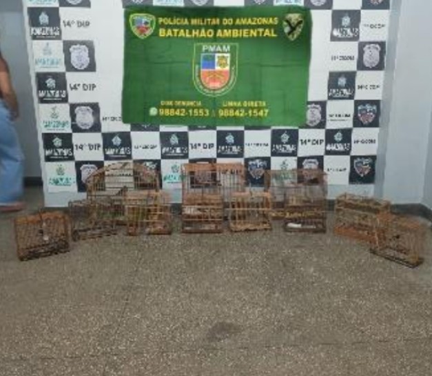 Homem é preso ao ser flagrado com 10 pássaros em cativeiro no Jorge Teixeira