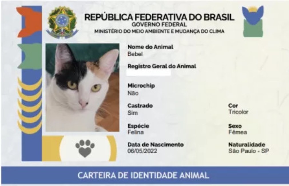 Sistema gratuito de RG para cães e gatos é lançado; veja como funciona