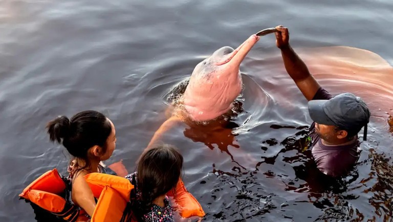 Brasileiros estão cada vez mais atentos à sustentabilidade em viagens, aponta pesquisa