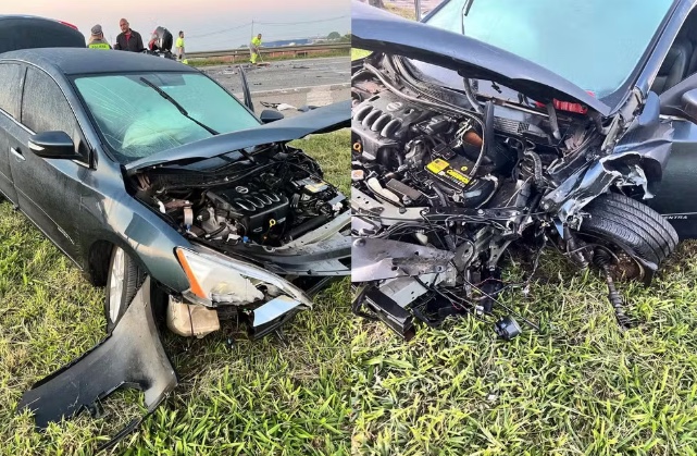 Atropelamento de búfalo resulta em acidente envolvendo quatro veículos