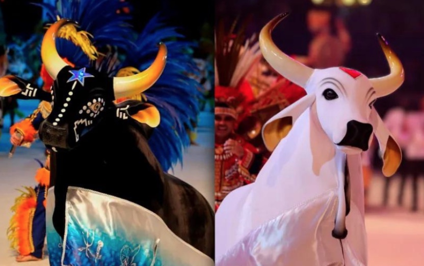 Caprichoso e Garantido são homenageados na Câmara dos Deputados