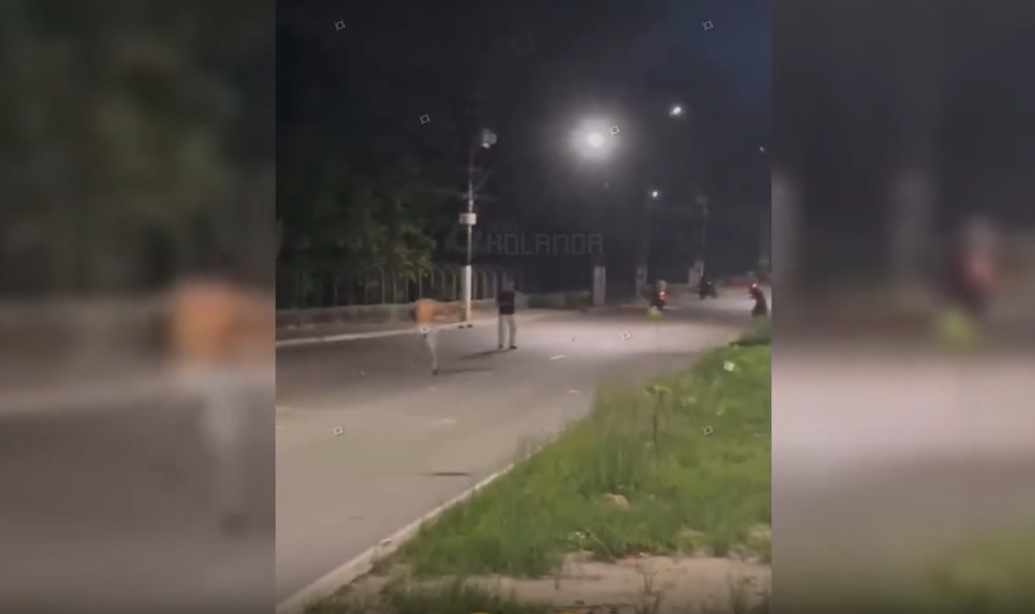 Sargento espancado durante briga em bar está estável, diz Marinha do Brasil