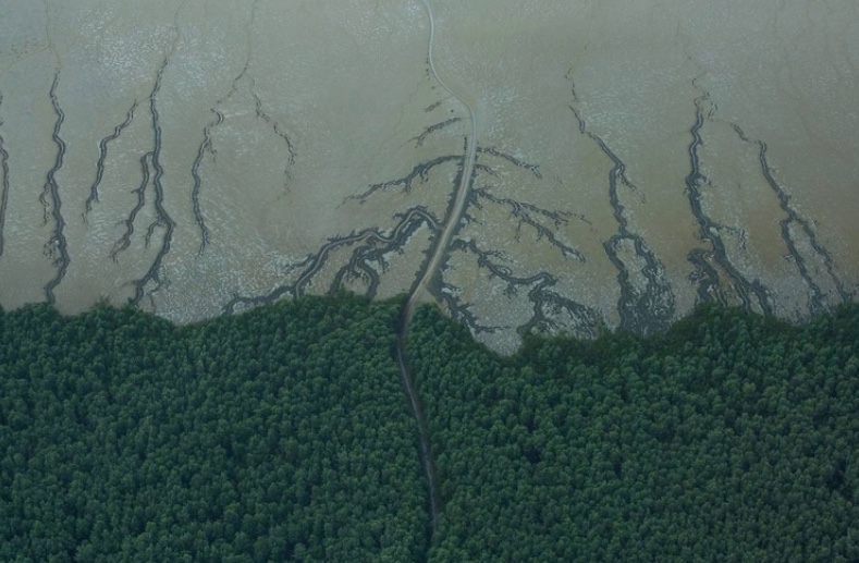 Ibama aprova plano para licenciamento da exploração na Bacia da Foz do Amazonas