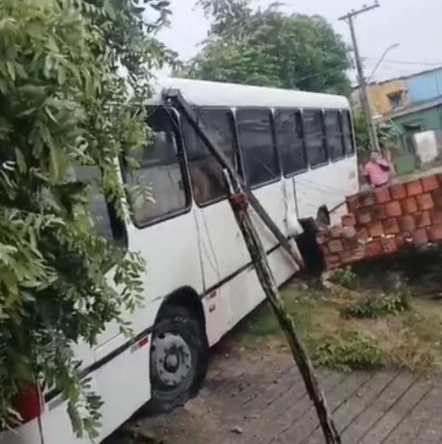 Ônibus atinge árvore enquanto motorista dirigia e passava troco no Colônia Antônio Aleixo