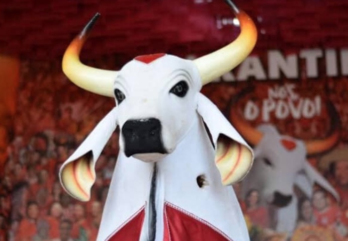 Garantido revela detalhes da primeira noite no Bumbódromo; confira