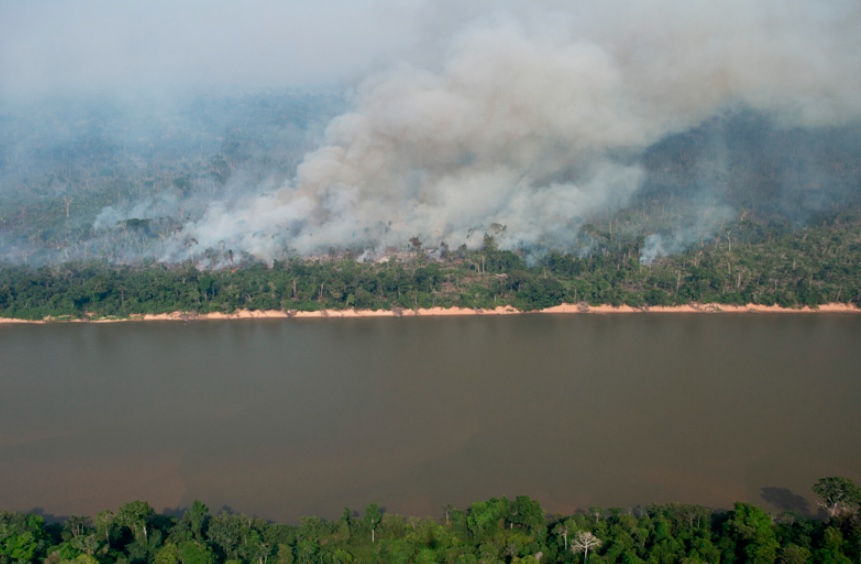 Acusados de desmatar área protegida no Amazonas têm R$ 49 milhões bloqueados