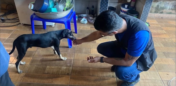 Cachorro é acorrentado e agredido por tutor no Pará