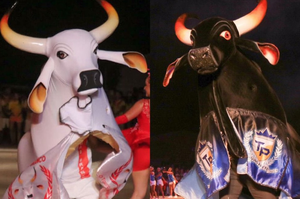 Manaus recebe pela 1ª vez lançamento oficial do Festival dos Touros de Barreirinha