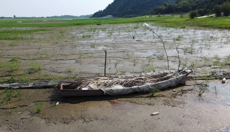 Amazonas prevê estiagem moderada após dois anos de seca severa