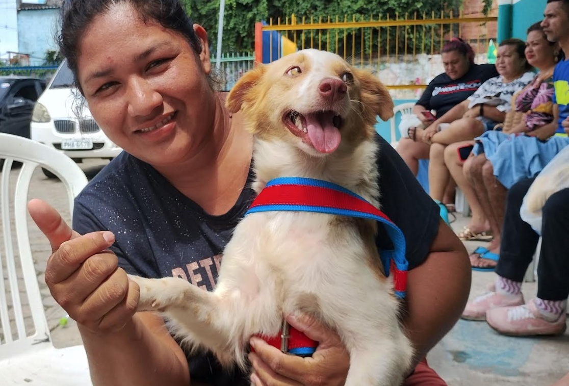 Manaus oferece 320 vagas gratuitas para castração de cães e gatos na Zona Norte