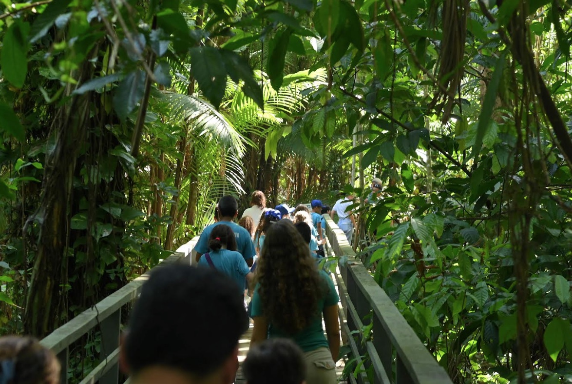 Ipaam abre agendamentos para escolas visitarem o Bosque Estadual Vandete Rocha