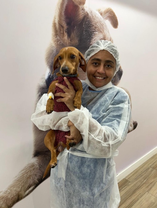 Especialista alerta sobre prevenção do câncer em cães no Dia Mundial do Cachorro