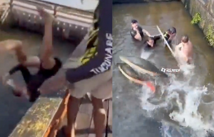 Ibama investiga Jon Vlogs e Richard Rasmussen por nado com pirarucus em Manaus