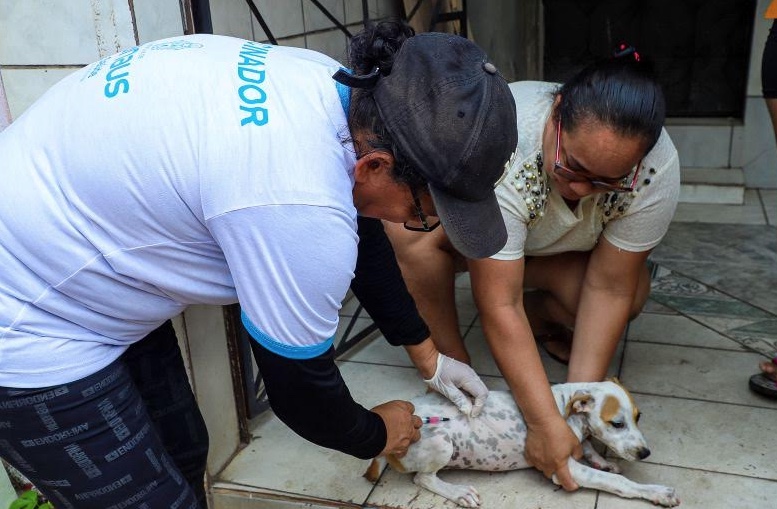 Manaus divulga lista de pré-aprovados para campanha de vacinação antirrábica