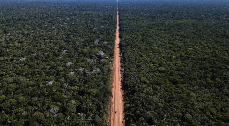 BR-319: Licenciamento do "trecho do meio" é previsto para 2026, diz ministro