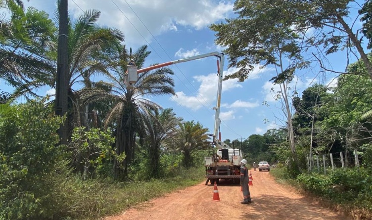 MPF cobra poda de árvores para evitar apagões na Zona Rural de Manaus