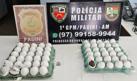 Mulher tenta levar droga escondida em ovos de galinha e acaba presa no Amazonas