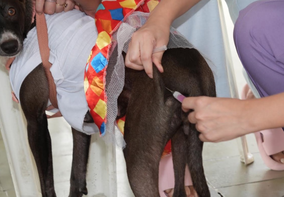 Semsa realiza mutirão de saúde animal no Nova Cidade sábado