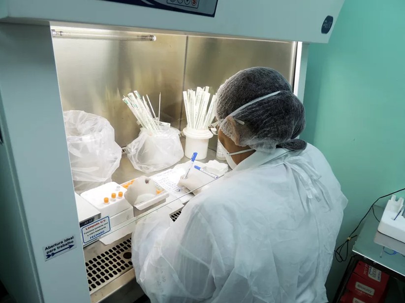 Gatos respondem por quase 98% dos casos de Esporotricose confirmados no Amazonas