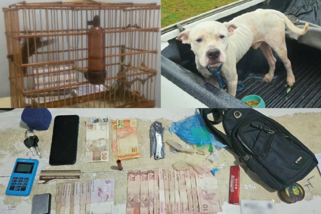 Homem é preso por tráfico de drogas e maus-tratos contra animais no Amazonas