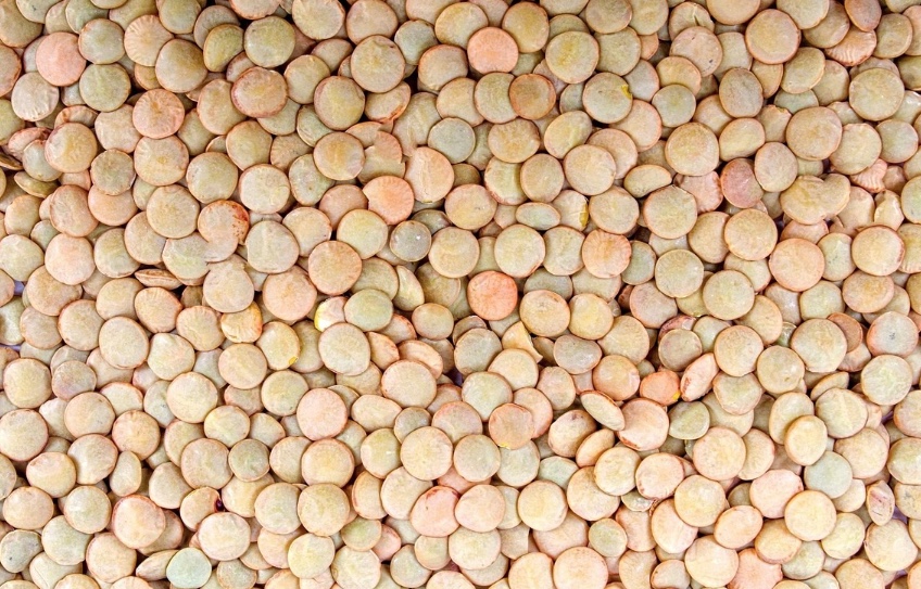 Moedas no Prato: Por que a lentilha é o ingrediente indispensável da virada do ano