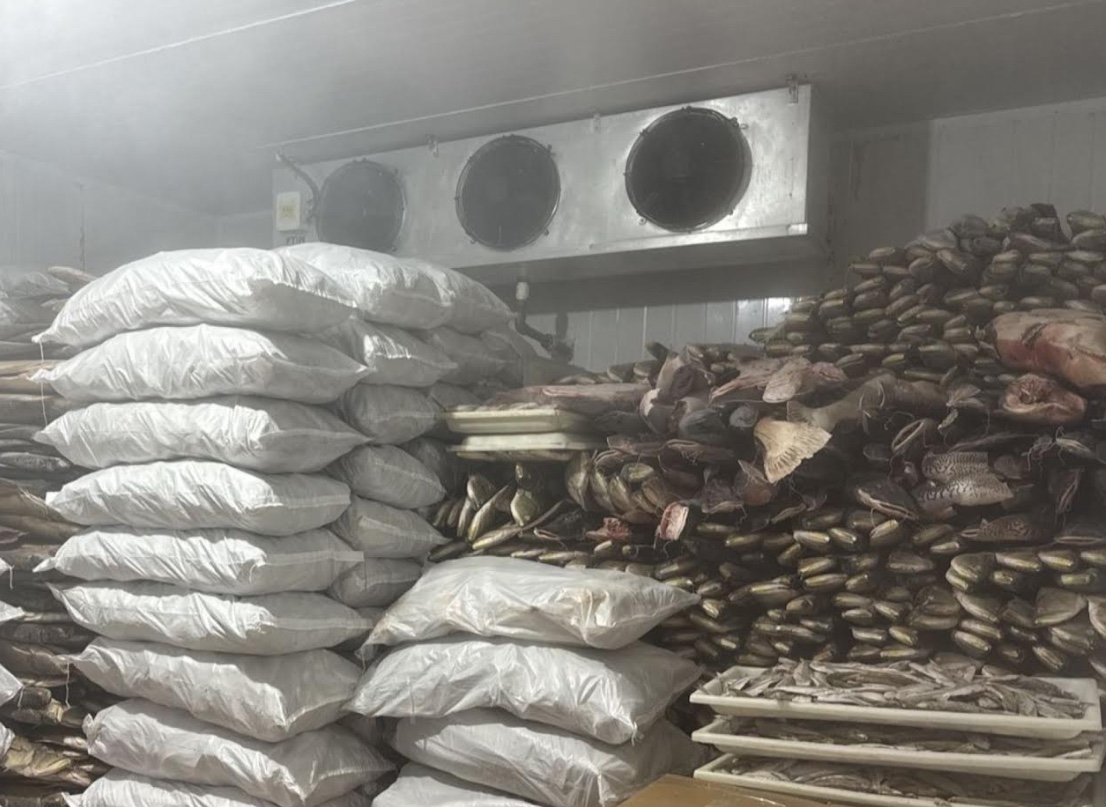 Ipaam multa em mais de R$ 2 milhões frigorífico de pescado irregular em Manacapuru