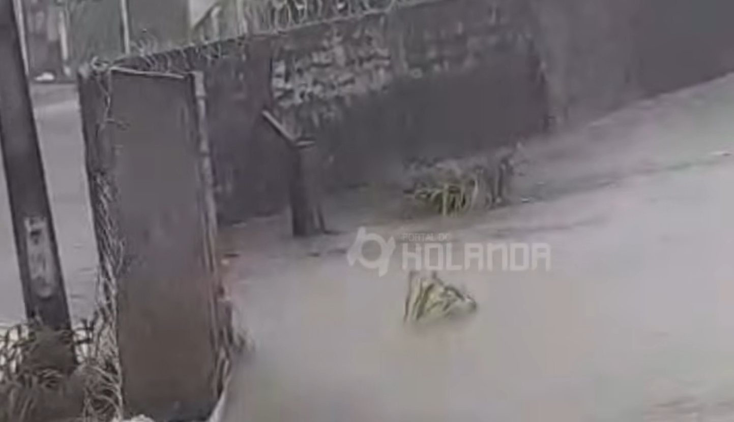 Prefeitura mobiliza equipes após muro de Vila Militar em Manaus ceder com temporal