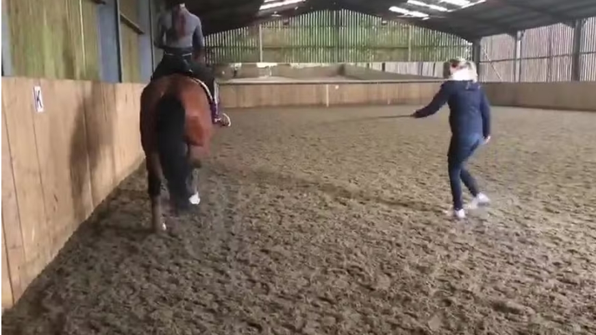 Campeã olímpica flagrada chicoteando cavalo é suspensa por um ano