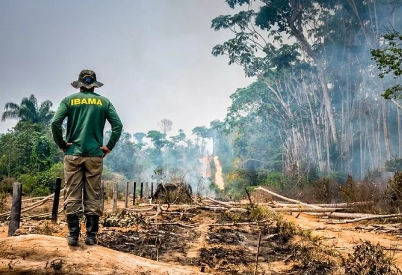 Justiça reforça que obrigação de recuperar área desmatada não implica dever automático de indenizar