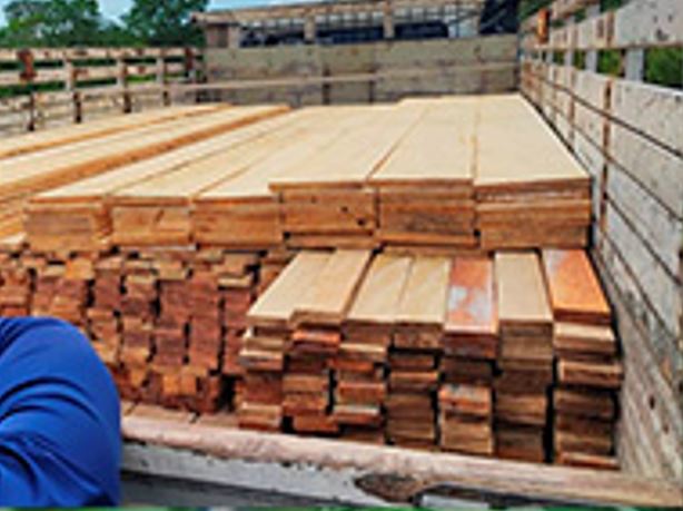 Homem é preso pela 2ª vez ao ser flagrado transportando madeira ilegal na AM-010