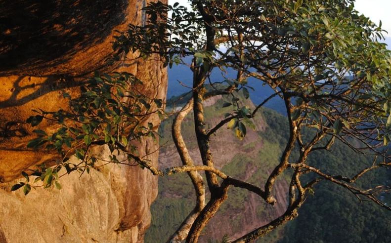 Homem morre ao ir fazer Jump em penhasco no Rio de Janeiro