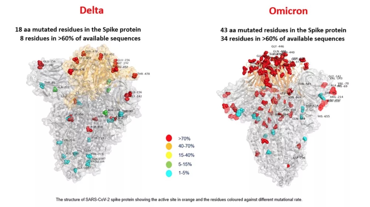 Variante Ômicron tem mais que o dobro de mutações que a Delta