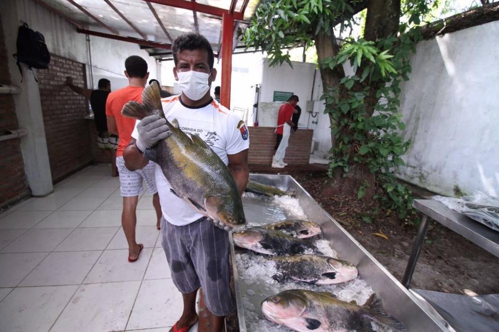 Pescadores de Fonte Boa faturaram R$ 423 mil nas feiras do pirarucu em 2021