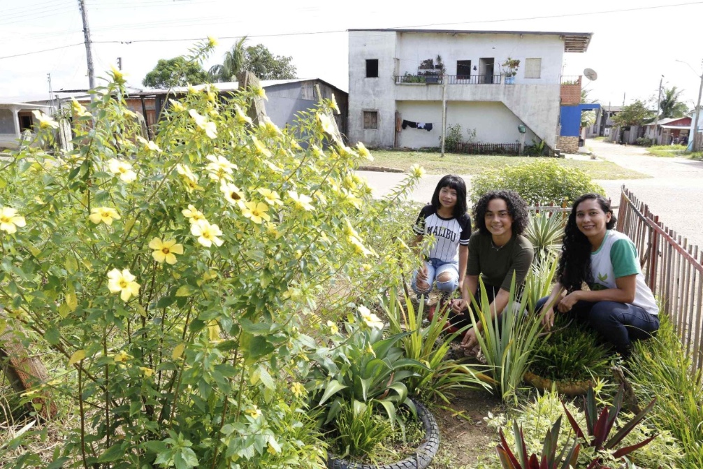 Em Codajás, professora transforma lixeira viciada em jardim