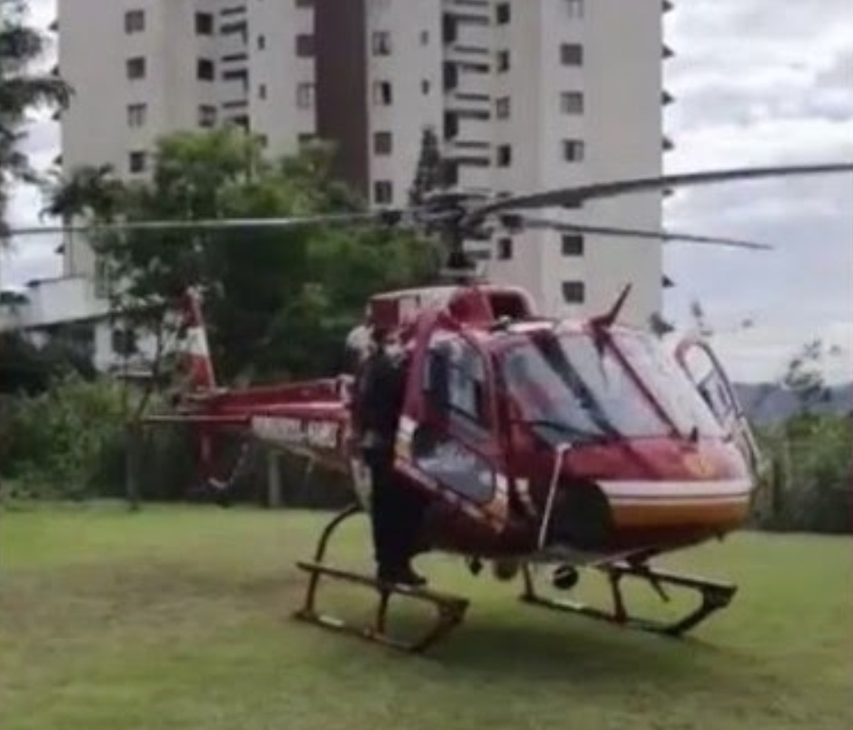Menino de 6 anos é picado por cobra mais venenosa do país