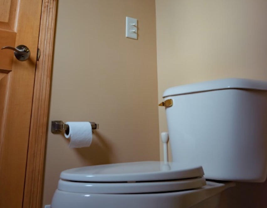 Médico alerta sobre risco de limpar ânus com lenço umedecido após fazer cocô