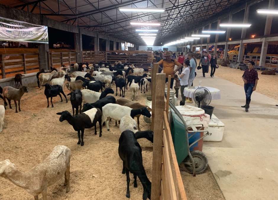 Feira de Agronegócios em Manaus tem cursos e palestras para o setor primário