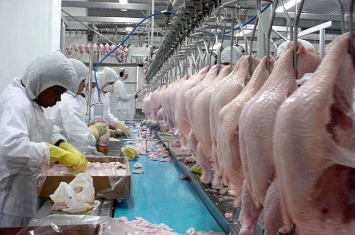 Arábia Saudita decide suspender compra de carnes de aves do Brasil