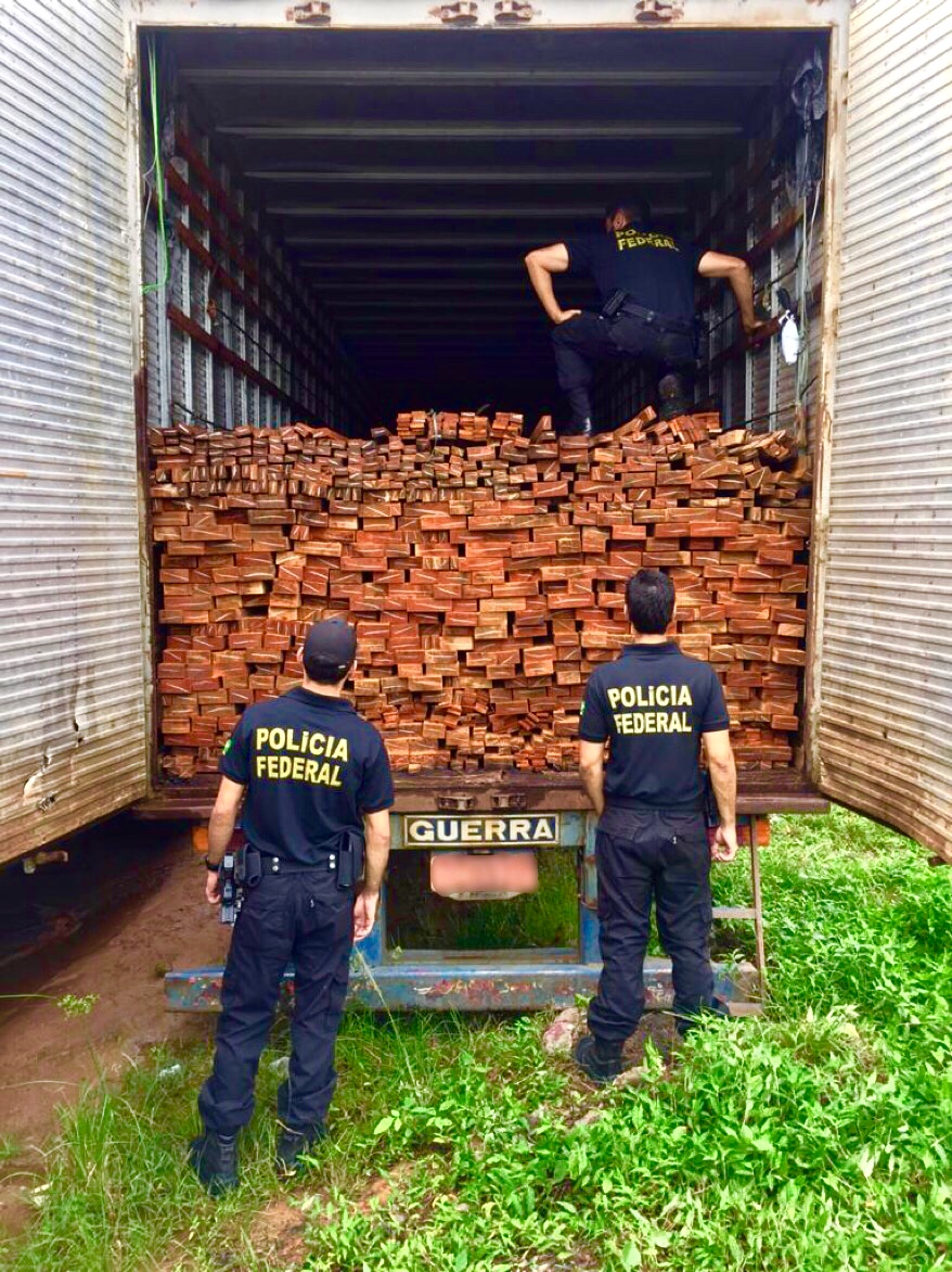 PF apreende carretas com 60 metros de madeira ilegal no Porto de Manaus 