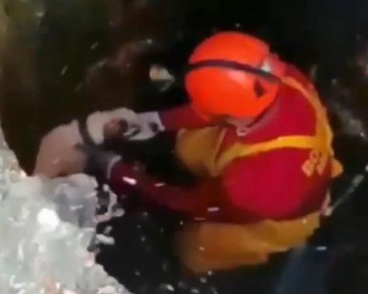 Corpo de Bombeiros resgata cachorro que morreria afogado em Manaus