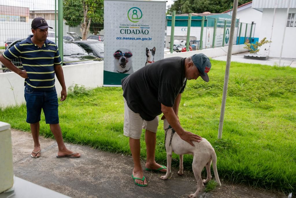 Calendário para agendamento de castração de cães e gatos é divulgado em Manaus