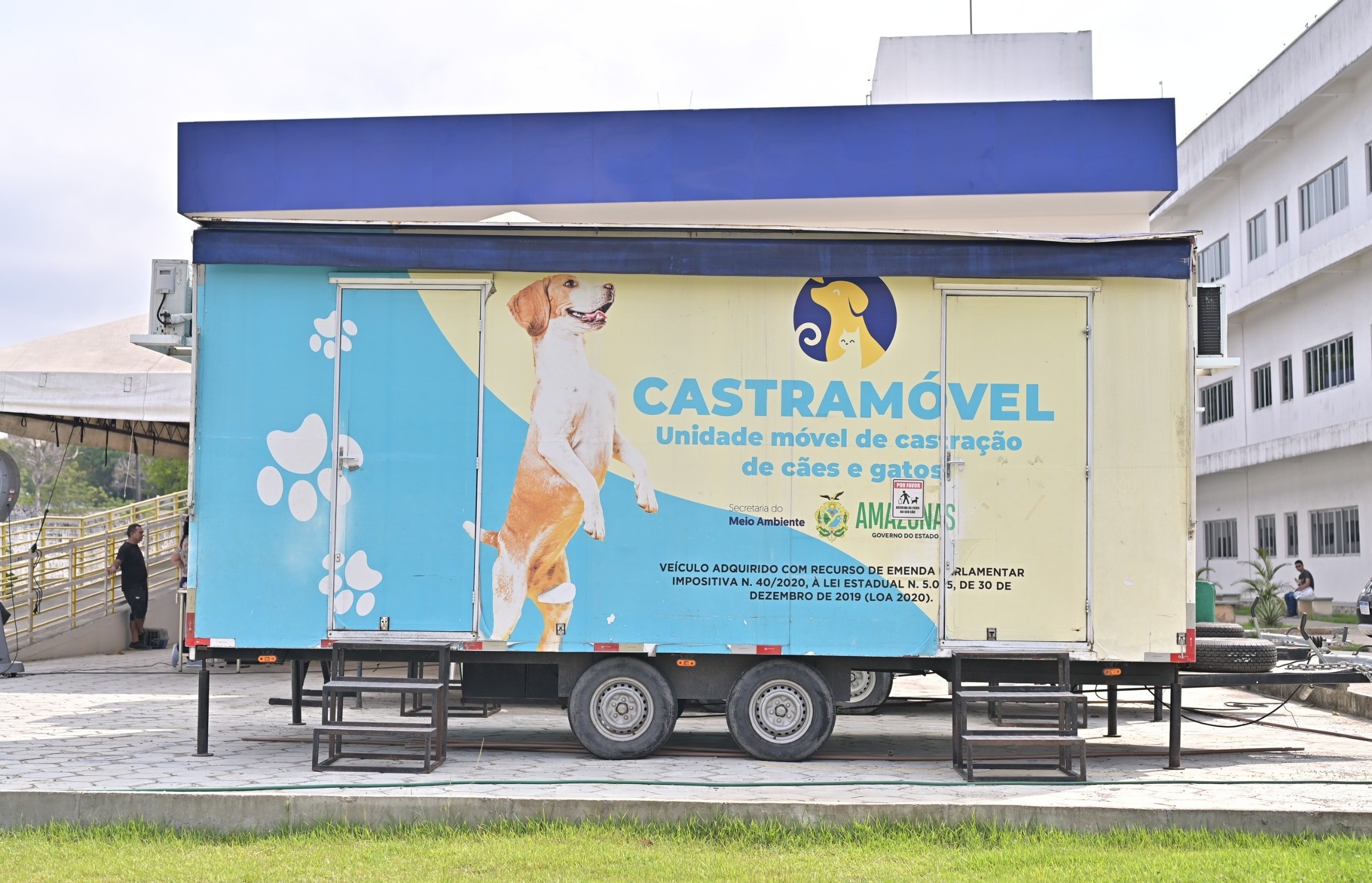 Ação terá agendamento de castração e vacinação de cães e gatos no Grande Vitória