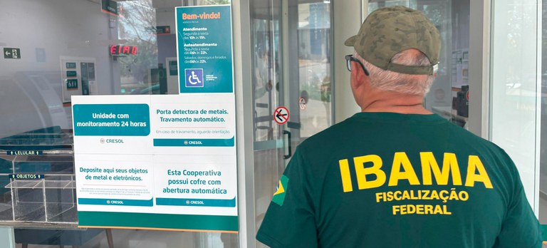 Ibama multa bancos e fazendeiros por financiar desmatamento ilegal na Amazônia