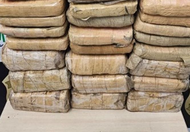 Polícia aprende 130 kg de drogas que seriam enviados do Amazonas para outros estados