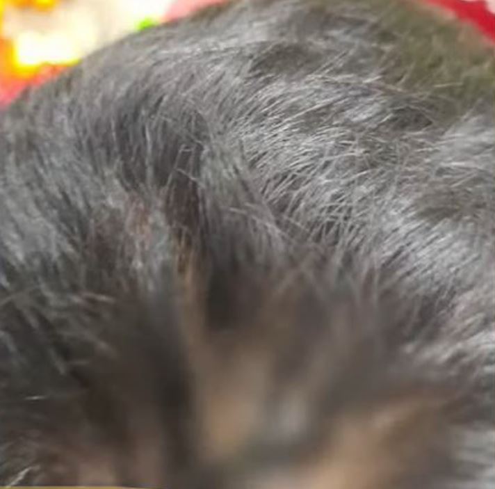 Criança resgatada de cárcere era agredida com madeira com prego na ponta em Manaus